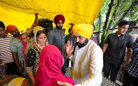 ₹1000 की 'गारंटी' पर सीएम मान का बड़ा दांव! जानिए पंजाब की माताओं-बहनों के खाते में कब आएंगे पैसे?