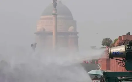 दिल्ली में प्रदूषण पर काबू के लिए MCD की बड़ी तैयारी, ऊंची इमारतों पर एंटी-स्मॉग गन लगाने की है तैयारी