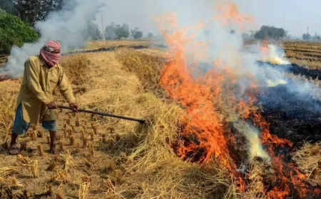 संगरूर में किसानों ने पराली में लगाई आग, पराली में लगी आग बुझाने पहुंची पुलिस की टीम