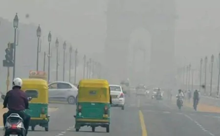 दिल्ली में प्रदूषण से लोग परेशान, सरकारी दफ्तरों की टाइमिंग में किया गया बदलाव