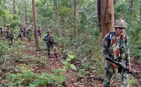 जम्मू-कश्मीर में सुरक्षाबलों को बड़ी कामयाबी, कुपवाड़ा में जंगलों से 6 हैंड ग्रेनेड बरामद