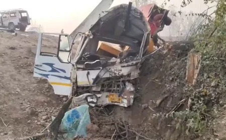 जम्मू-कश्मीर के बडगाम में दर्दनाक सड़क हादसा, लगभग 4 की मौत और 11 घायल