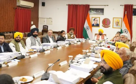 मान सरकार के एंटी-करप्शन एजेंडा के तहत बड़ा बदलाव: अब पंजाब में बिजली कनेक्शन प्रक्रिया हुई आसान