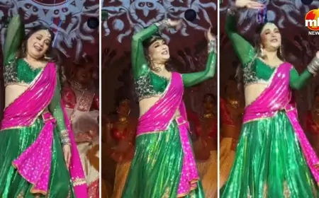 ग्रैंड वेडिंग में माधुरी दीक्षित ने डांस परफॉर्मेंस से जीता लोगों का दिल, फैंस ने कहा – ऐश्वर्या राय भी होतीं...