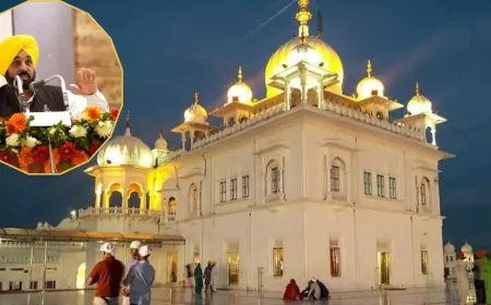 Punjab : श्री गुरु तेग बहादुर जी का 350वां शहीदी दिवस, ड्रोन शो का किया गया आयोजन