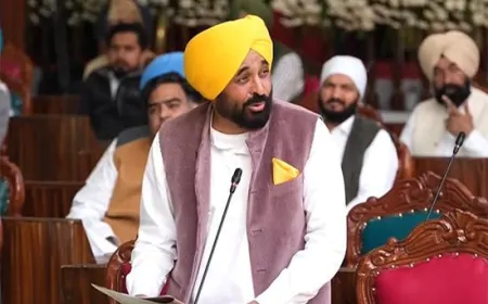 पंजाब सरकार ने तीन शहरों को दिया पवित्र शहर का दर्जा, नहीं बिकेगा नशा, मीट-शराब और तंबाकू