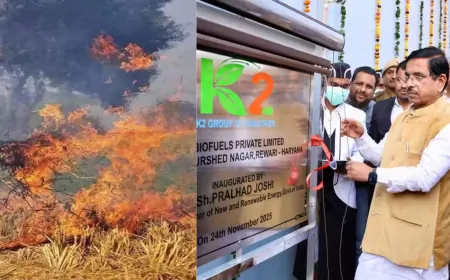 Haryana : ग्रीन एनर्जी की ओर बढ़ा हरियाणा, पराली के अवशेष से बनेगी बिजली