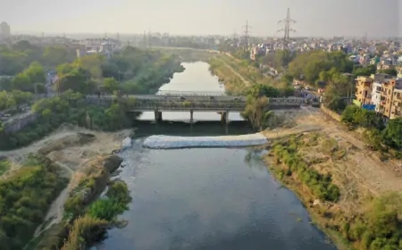 SYL विवाद : केंद्र सरकार पीछे हटी, पंजाब-हरियाणा बैठकर समाधान निकालें