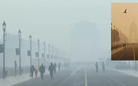 दिल्ली-NCR में फिर घना स्मॉग, AQI ‘बहुत खराब’ श्रेणी में; ठंड और कोहरे ने बढ़ाई मुश्किलें