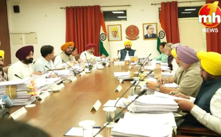 Punjab : डॉक्टरों और शिक्षकों के लिए खुशखबरी, सरकार ने दी ये बड़ी सौगात...