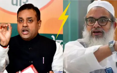 महमूद मदनी ने सुप्रीम कोर्ट के काम-काज पर उठाए सवाल, BJP ने किया पलटवार