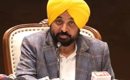 Punjab : राज्य में गैंगस्टरों को कांग्रेस MP रंधावा ने दी पनाह - CM भगवंत सिंह मान