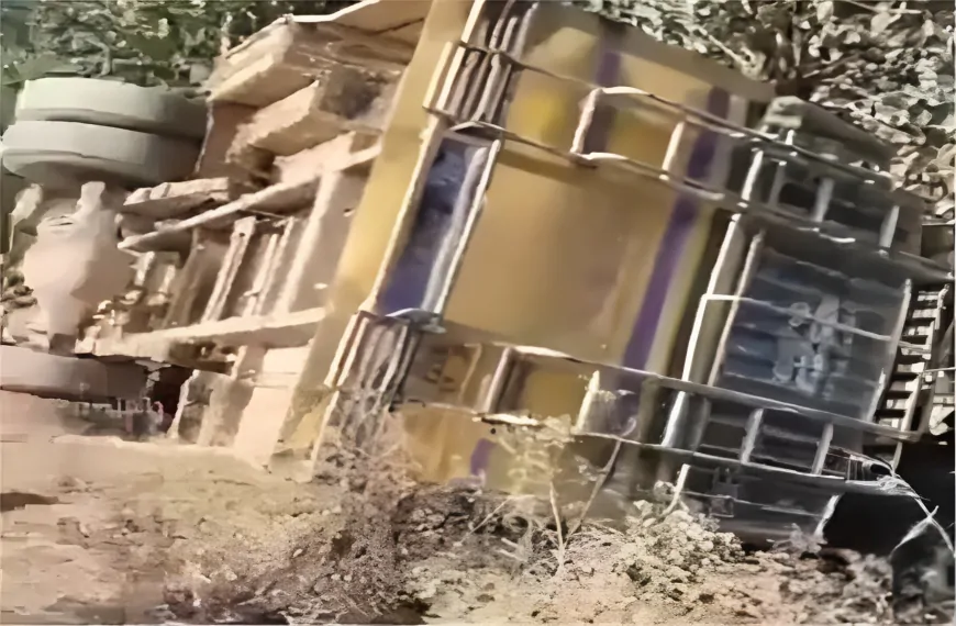 हिमाचल के मंडी में सड़क हादसा, बस में सवार थे 20 यात्री