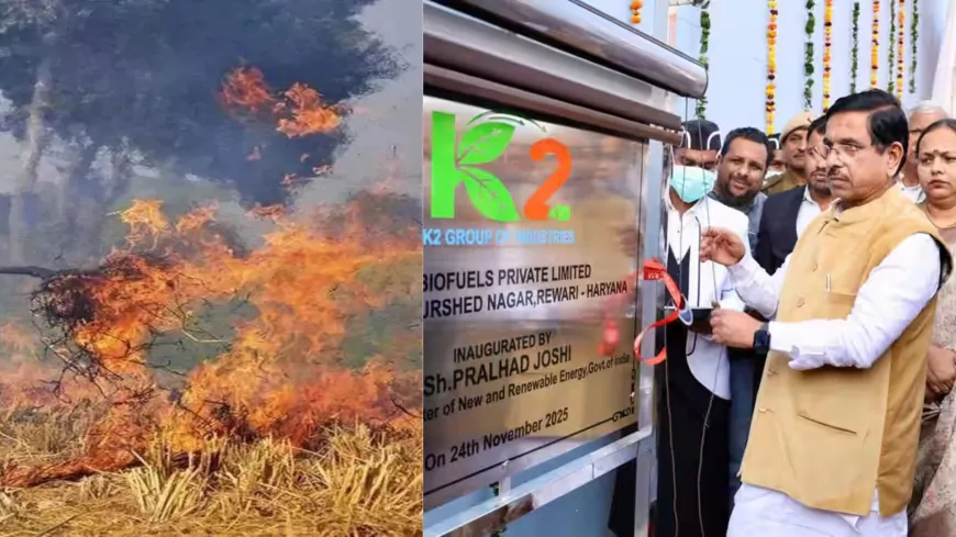 Haryana : ग्रीन एनर्जी की ओर बढ़ा हरियाणा, पराली के अवशेष से बनेगी बिजली