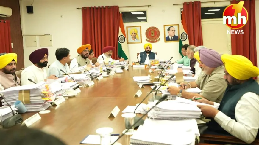 Punjab : डॉक्टरों और शिक्षकों के लिए खुशखबरी, सरकार ने दी ये बड़ी सौगात...