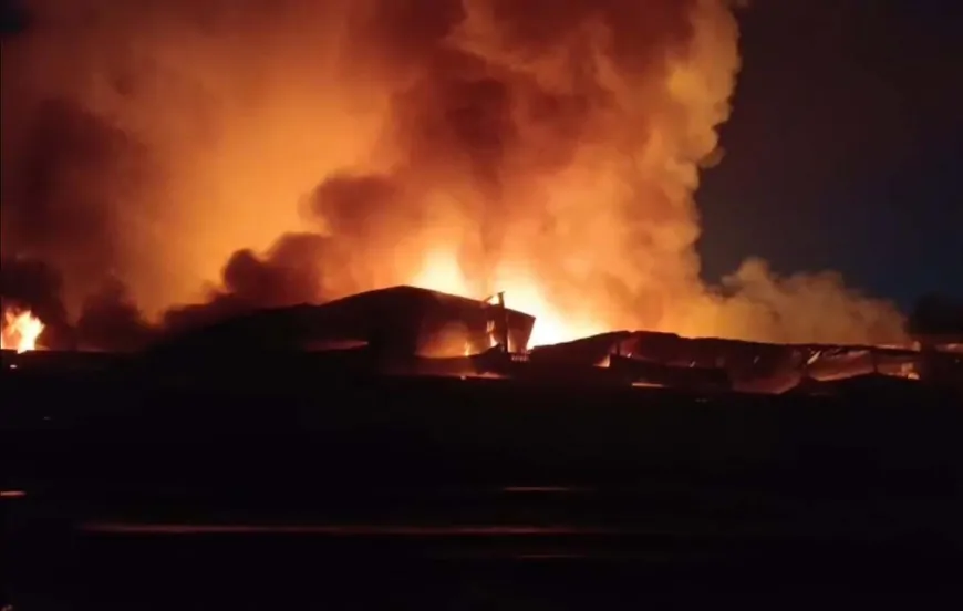 Punjab : मोहाली के गोदाम में लगी भीषण आग, 1.5 करोड़ का सामान जलकर खाक