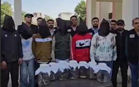 Haryana : सोनीपत STF ने की बड़ी कार्रवाई, विदेशी हथियार समेत 7 गिरफ्तार