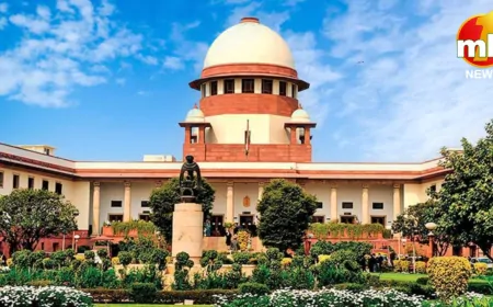 डिजिटल अरेस्ट पर सुप्रीम कोर्ट सख्त, देशभर के मामलों की CBI को सौंपी जांच