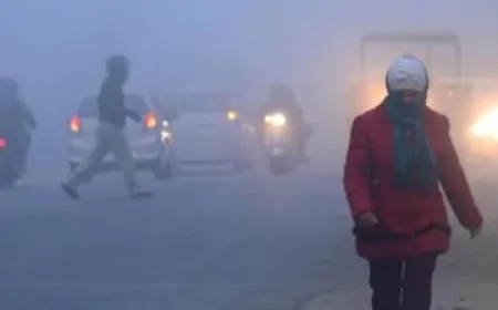 Punjab व चंडीगढ़ में बढ़ी ठंड की दस्तक: अगले तीन दिनों तक शीतलहर का येलो अलर्ट