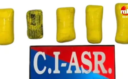 Punjab : अमृतसर में काउंटर इंटेलिजेंस की बड़ी सफलता, इंटरनेशनल ड्रग मॉड्यूल का भंडाफोड़