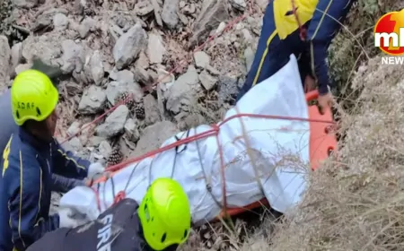 Uttarakhand : चंपावत में दर्दनाक हादसा, गहरी खाई में गिरी बोलेरो, करीब पांच लोगों की मौत