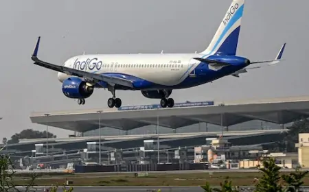 Delhi : बेंगलुरु तक इंडिगो की 1300 फ्लाइटें रद्द, DIAL ने दी चेतावनी