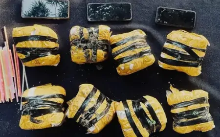 Punjab : BSF और ANTF की कार्रवाई, भारत-पाक सीमा पर 2 नशा तस्कर गिरफ्तार