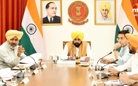 Punjab : बरनाला को मिला 14वां नगर निगम का दर्जा, सांसद मीत हेयर ने CM मान का जताया आभार