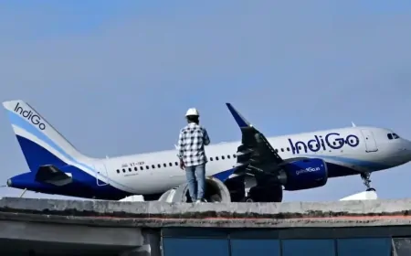 Indigo Crisis : चंडीगढ़ में 4 फ्लाइट्स हुईं रद्द, इंडिगो ने यात्रियों के ठहरने के लिए किया इंतजाम
