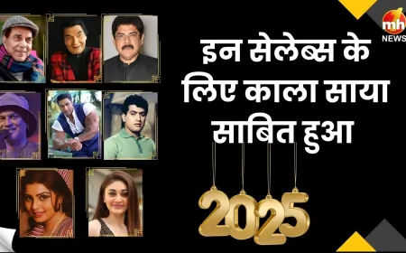 Year Ender 2025 : इन सेलेब्स के लिए काला साया साबित हुआ 2025, परिवार पर टूटा दुखों का पहाड़...