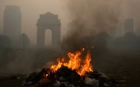 Delhi में वायु प्रदूषण पर सरकार सख्त, खुले में कचरा जलाया तो 5000 रुपए  का होगा जुर्माना