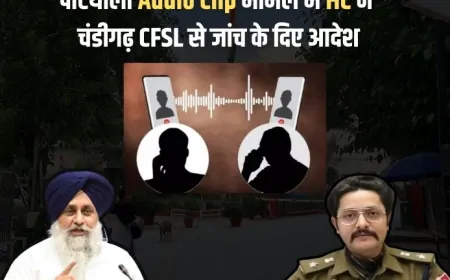 Punjab : SSP कथित ऑडियो क्लिप का मामला...HC ने चंडीगढ़ CFSL से जांच कराने के दिए आदेश