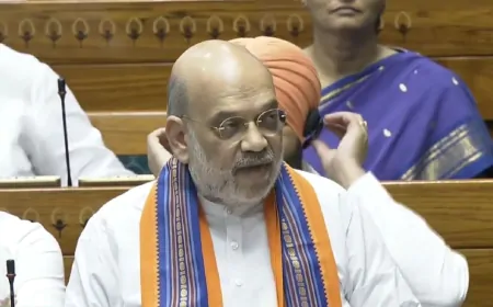 'SIR पर फैलाया जा रहा झूठ...' सदन में बोले गृह मंत्री अमित शाह