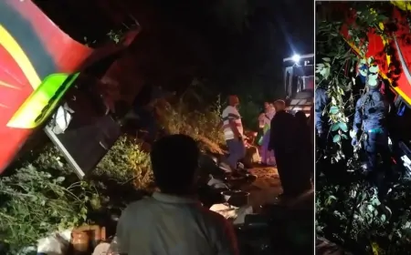 आंध्र प्रदेश में दर्दनाक सड़क हादसा, खाई में बस गिरने से 8 से ज्यादा लोगों की मौत