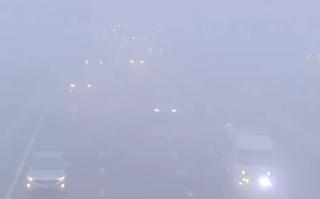 सुबह-सुबह कोहरे की मोटी चादर में लिपटी दिल्ली, हादसे के डर से धीमी हुई वाहनों की रफ्तार 