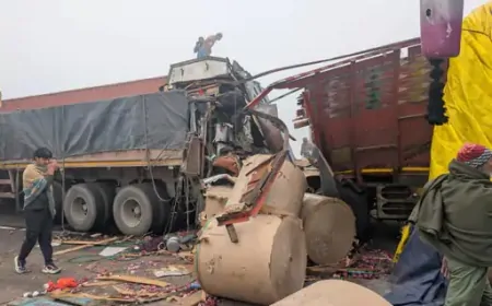 Haryana : ‘हादसों का रविवार’, 50 से ज्यादा वाहन आपस में टकराए