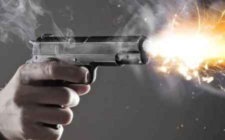 Delhi : जाफराबाद में 2 सगे भाइयों की गोली मारकर हत्या, आपसी रंजिश की आशंका