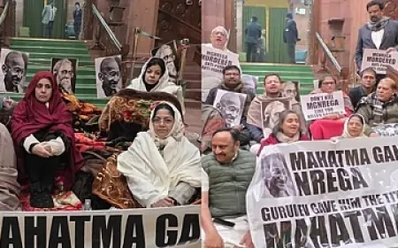 राज्यसभा में भारी हंगामे के बीच VB–G RAM G बिल पास, विपक्ष का कड़ा विरोध, संसद परिसर में धरना