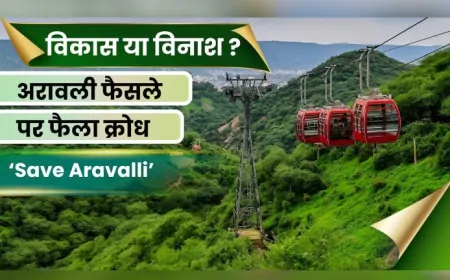 अरावली को लेकर सोशल मीडिया पर घमासान…आखिर क्यों गरमाया विवाद ?