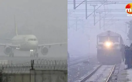 Weather Update : धुंध की चादर से घिरा उत्तर भारत, थम गई ट्रेनों की रफ्तार, कई उड़ानें रद्द