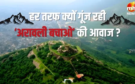 है नदियों की हरियाली…सदियों पुराना इतिहास, आखिर क्यों सोशल मीडिया से लेकर सड़कों तक गूंजी अरावली बचाओ की आवाज