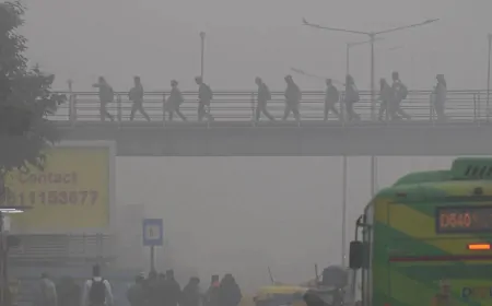 Delhi-NCR में दिसंबर की विदाई फीकी, ठंड सुस्त लेकिन कोहरा और प्रदूषण बने बड़ी परेशानी