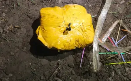 Punjab :  अमृतसर में ANTF-BSF की बड़ी सफलता, 12 किलो हेरोइन की जब्त