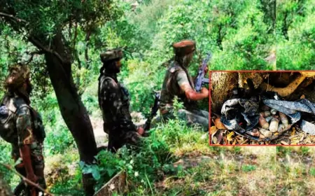 J&k : बारामूला में सुरक्षाबलों को मिली बड़ी कामयाबी, जंगल से ग्रेनेड और गोला-बारूद बरामद