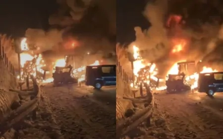 जापान में सड़क हादसा, 50 से ज्यादा गाडियां टकराई, आग लगने से एक की मौत