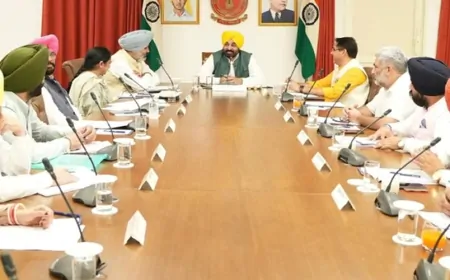 Punjab : होशियारपुर में बनेगी नई सब तहसील, 'मेरा घर मेरे नाम' योजना तेजी से होगी लागू 