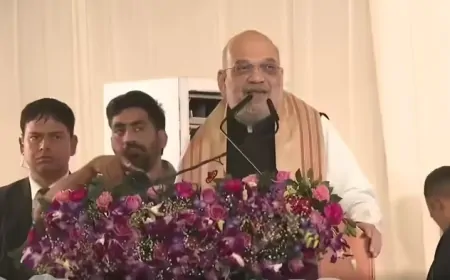 असम में अमित शाह की दहाड़, बोले- चुन-चुनकर घुसपैठियों को देश से निकालेंगे बाहर