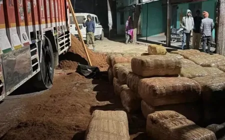 Chhattisgarh : 1200 किलो गांजे के साथ तीन गिरफ्तार, ट्रक में छिपाकर लेकर जा रहे थे गांजा