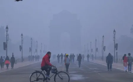दिल्ली-NCR में घने कोहरे का सितम, मौसम विभाग ने जारी किया ऑरेंज अलर्ट