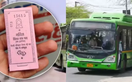 नए साल में महिलाओं को झटका! फ्री पिंक टिकट होगी बंद, नहीं कर पाएंगी बसों में 'फ्री' सफर 